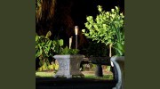 Hilltop Legacy Vacation Rental