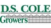 D S Cole Growers