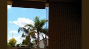 Desert Blind & Shutter Repair