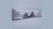 Wellspring Farm Dog Daycare & Boarding