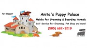 Anita's Puppy Palace