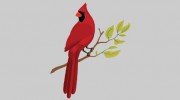The RedByrd Coffee Shop