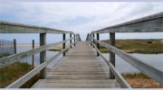 Chatham Seafarer