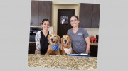 Plantation Midtown Animal Hospital