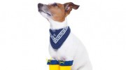 Westcoast Animal Groomers Supply