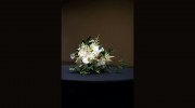 Flower N Florist