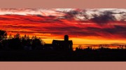 Timothy Mayer Artworks & Photography