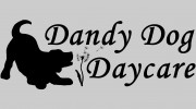 Dandy Dog Daycare