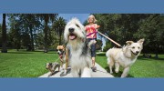 Potomac Pet ReTreat