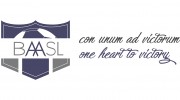 Bay Area Adult Soccer League