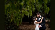 Lisa Stone Photography
