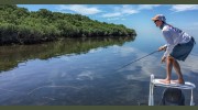 Old South Expeditions