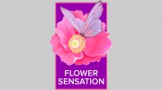 Flower Sensation