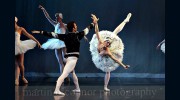The Dancer Project Conservatory