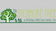 Sycamore Tree-A Christian