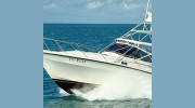 Fin Razer Sport Fishing Key Largo