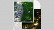 Bytendorp Enterprises Landscaping