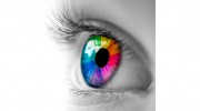 Sarasota Retina Institute