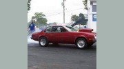 Rattlesnake Auto