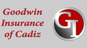 Goodwin Insurance Agency Of Cadiz