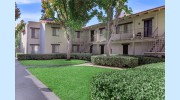 Carlyle Square Apartment Homes