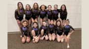 Lakeville Gymnastics Booster Club