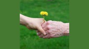 Loren's Good Life Care