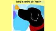 Camp Bedford Pet Resort
