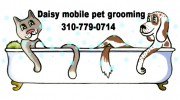 Daisy Mobile Pet Grooming