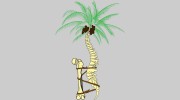 Spine Specialists Of South Florida