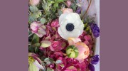 Urban Flowers