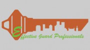 Effective Professionals