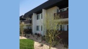 Sycamore Court