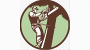 Palm Harbor Tree Pros