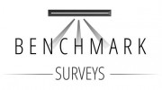 Benchmark Surveys