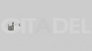 Citadel Security Agency