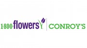 Conroys Flowers