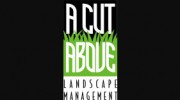 A Cut Above