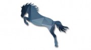Majestic Sport Horses