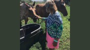 Heartland Assisted Living