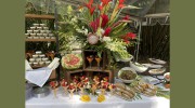 Creative Cuisine Catering