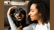Alta Animal Hospital