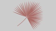 Palms Salon