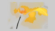 Imperial Flowers