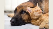 Paws & Effect Grooming