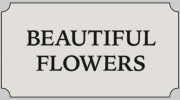 Beautiful Flowers