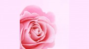 English Rose Day Spa