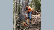 Smoky Mountain Land Surveying