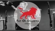 Art Of Strength Fitness
