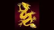 Rising Dragon Tattoos